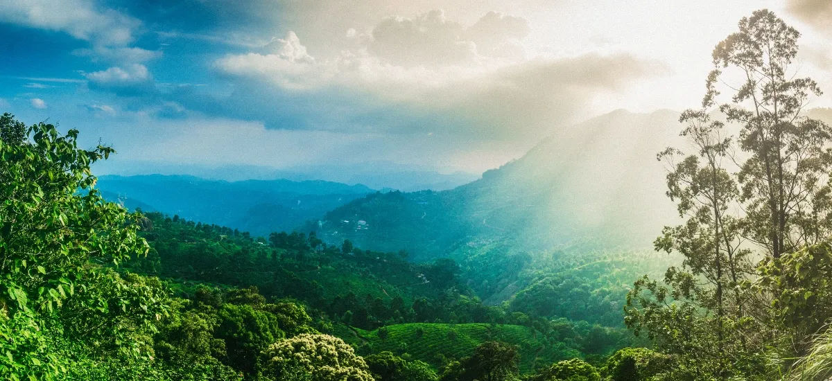 Kerala Luxury Munnar